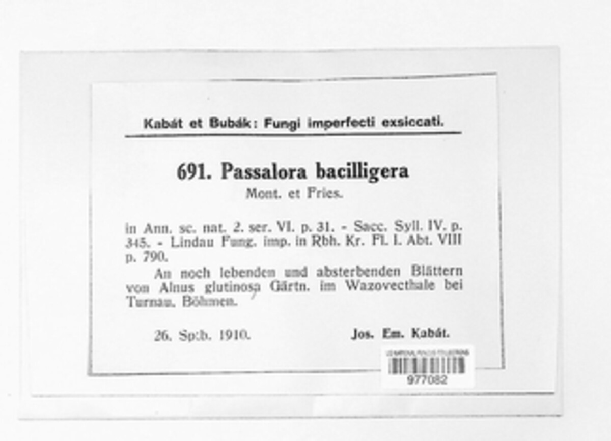 Passalora bacilligera image